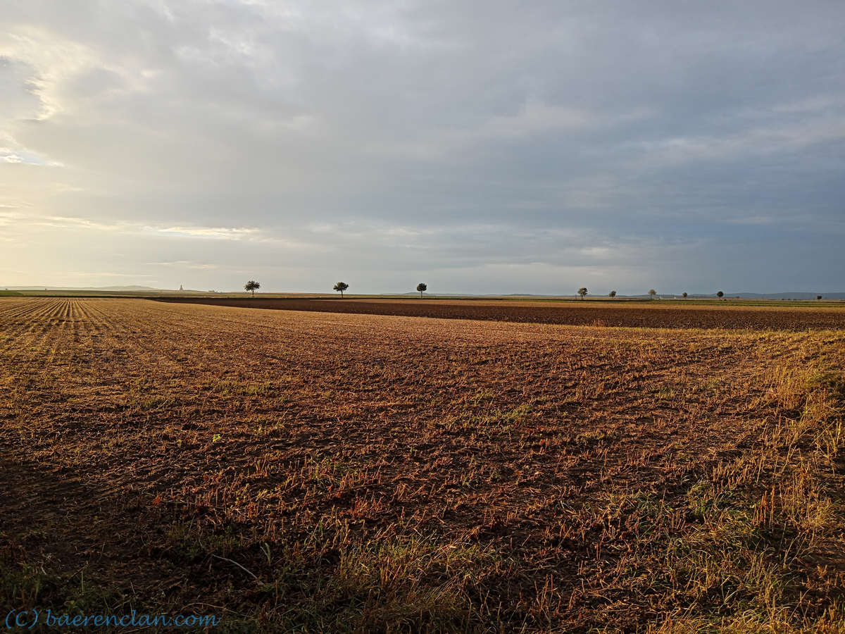 Feld im Sonnenuntergang